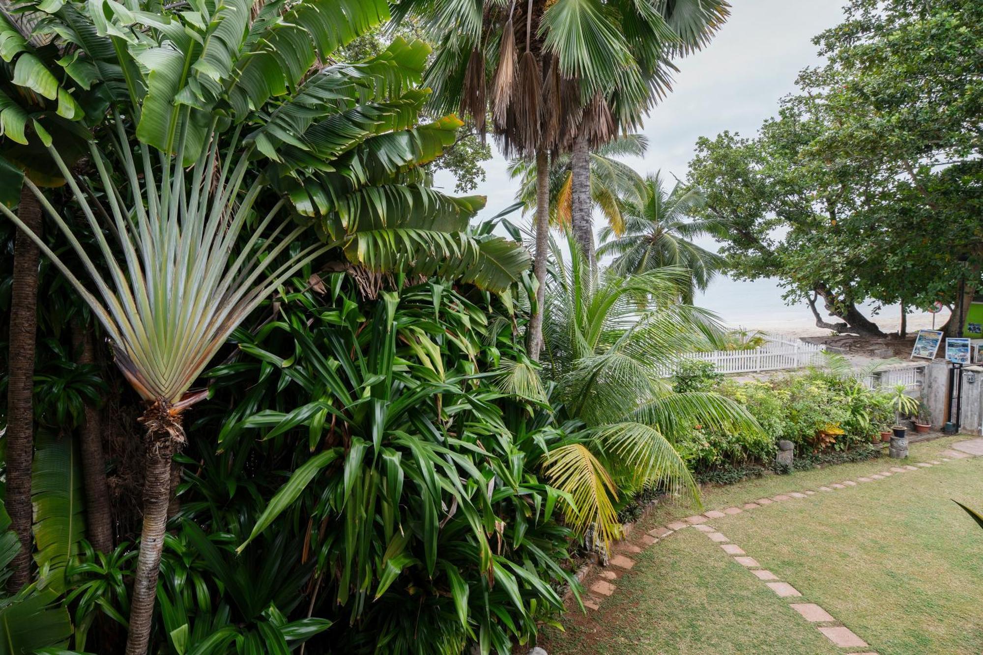 Sables d'Or Luxury Apartments Beau Vallon  Extérieur photo